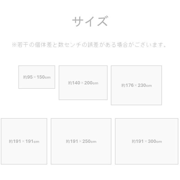 イケヒコ・コーポレーション 1051961013904 敷物 ラグ(い草)DXオルシャ 191×250cm メーカー直送_9