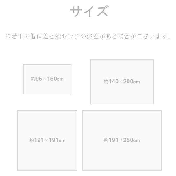 イケヒコ・コーポレーション 1052130042303 敷物 ラグ(い草) F月ごよみ BL 140×200cm メーカー直送_5