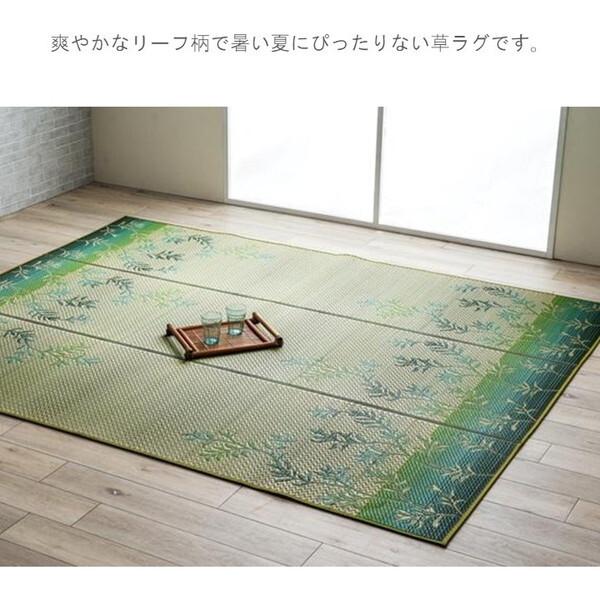 イケヒコ・コーポレーション 1052200126204 敷物 ラグ(い草) DXラテール GN 210×250cm メーカー直送_2