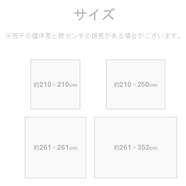 イケヒコ・コーポレーション 1052200126204 敷物 ラグ(い草) DXラテール GN 210×250cm メーカー直送_4
