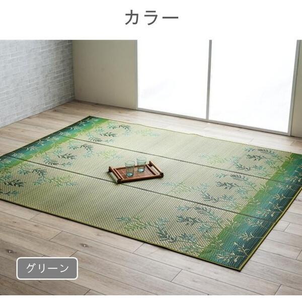 イケヒコ・コーポレーション 1052200126204 敷物 ラグ(い草) DXラテール GN 210×250cm メーカー直送_6