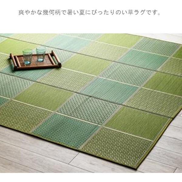 イケヒコ・コーポレーション 1052220126204 敷物 ラグ(い草) DXセルテ GN 210×250cm メーカー直送_2