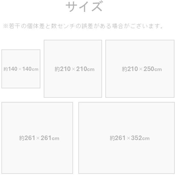 イケヒコ・コーポレーション 1052220126204 敷物 ラグ(い草) DXセルテ GN 210×250cm メーカー直送_4