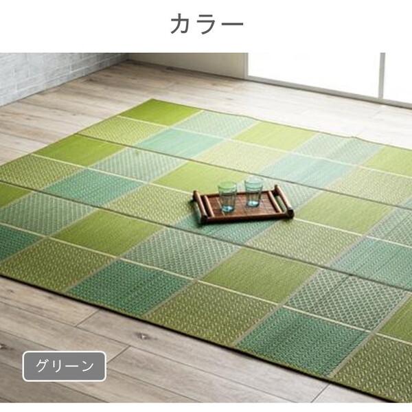 イケヒコ・コーポレーション 1052220126204 敷物 ラグ(い草) DXセルテ GN 210×250cm メーカー直送_6