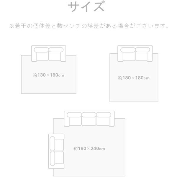 イケヒコ・コーポレーション 1298451015102 敷物 ラグ(ボンディングラグ) JP持続冷感ラグ 無 180×240cm メーカー直送_6