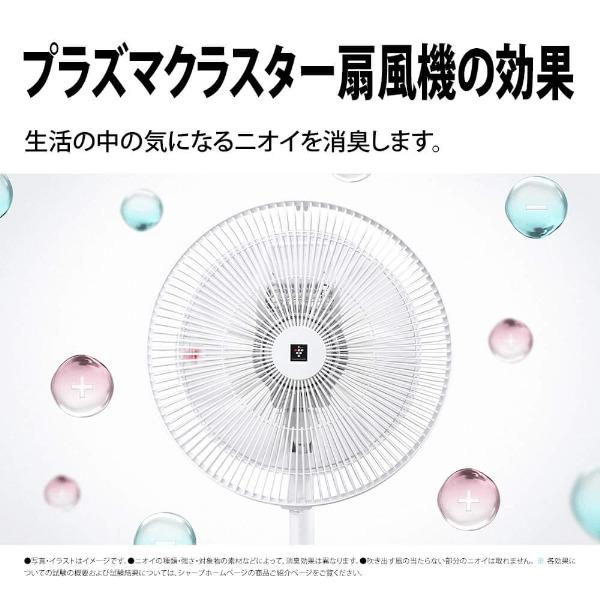 SHARP（シャープ） 扇風機 リビング 7枚羽根 風量3段階 首振り 冷風機