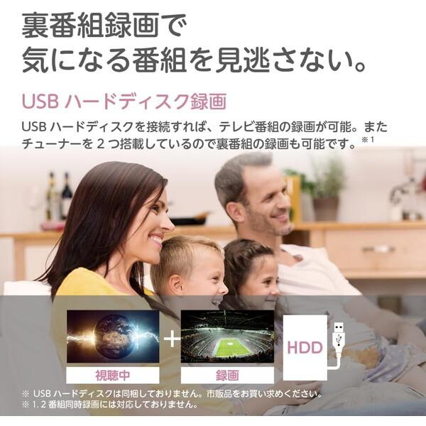 テレビ ORION＆HDDセット ORION(オリオン) チューナー内蔵（地上・BS・CS対応） 液晶テレビ 24v