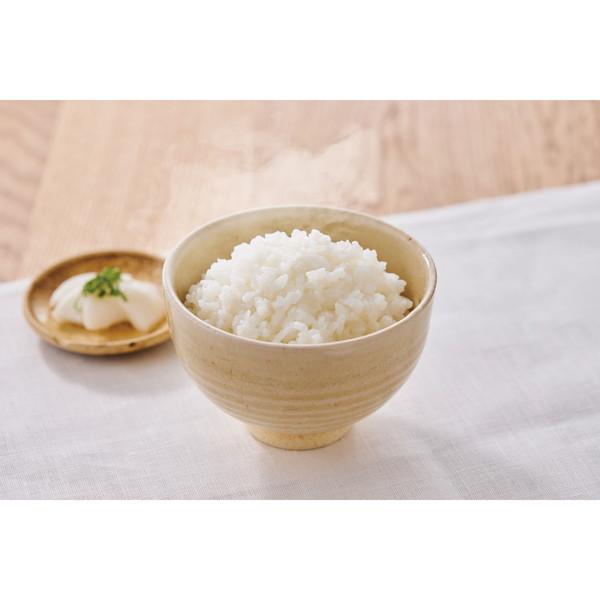 アイリスオーヤマ アルファ化米 白米 100g(ケース) メーカー直送_1