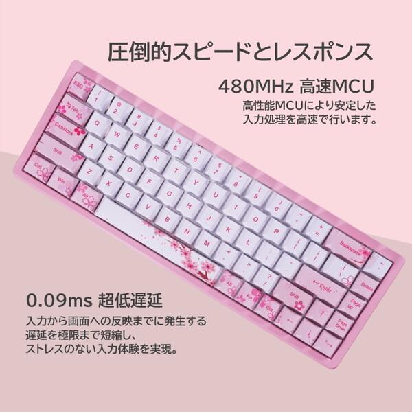 Everglide AE64 Pro キーボード 本体 カーボンプレート Everglide
