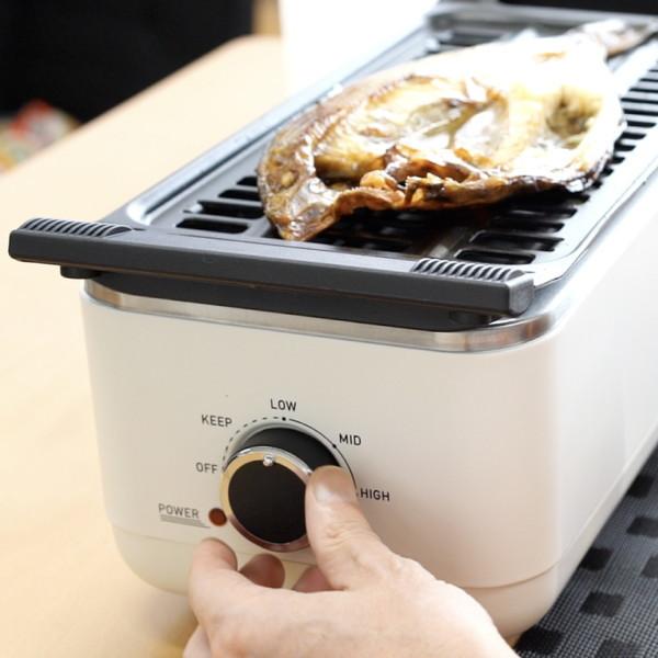 THANKO サンコー 肉と魚のWグリル 卓上 無煙 ヘルシー 焼き肉