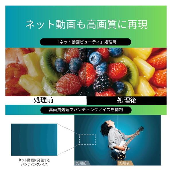 TOSHIBA テレビ 65型 液晶テレビ TVS REGZA レグザ 65インチ TV