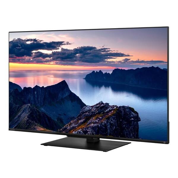 REGZA 43V 4K液晶テレビ 本体 レグザ テレビ 43インチ 液晶テレビ 43V型 4Kチューナー内蔵