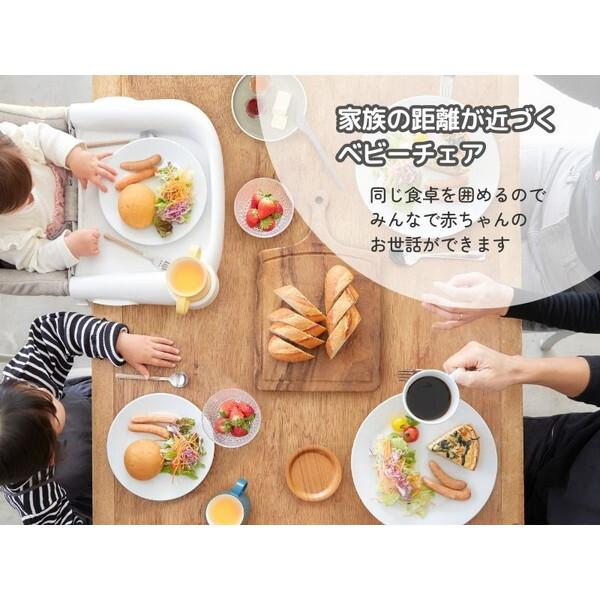 専用出品 Inglesina イングリッシーナ ファスト カプチーノ トレー付 156197