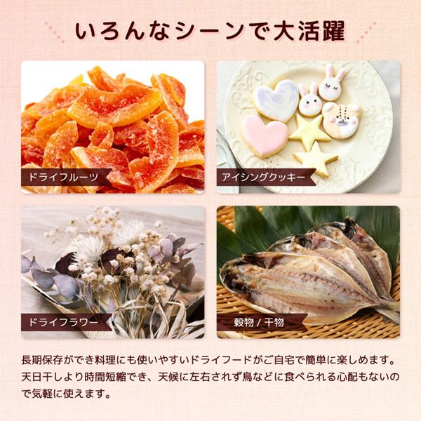 DigitalLand 電動食品乾燥機 DL-240607 : MAXZEN Direct Yahoo!店