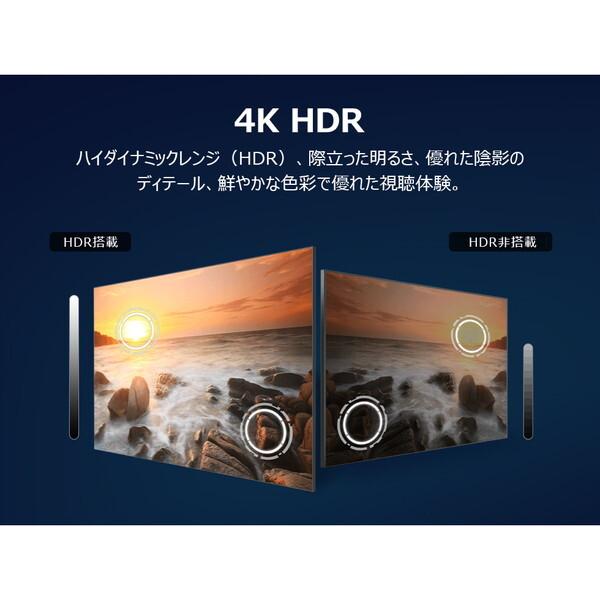 TCL テレビ 65型 液晶テレビ TCL 65インチ TV 65P61K P61Kシリーズ 65V