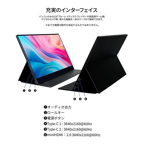JAPANNEXT（ジャパンネクスト） JAPANNEXT JN-MD-IPS173UHDR-T 17.3型