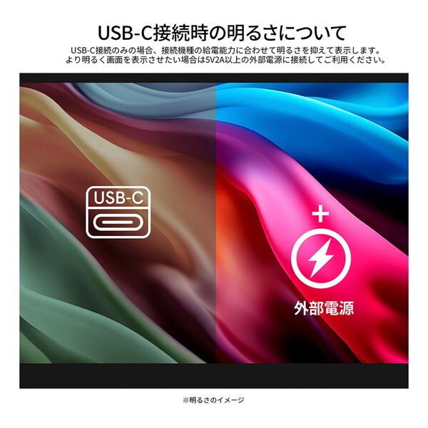 JAPANNEXT（ジャパンネクスト） JAPANNEXT JN-MD-IPS122WX 12.2型