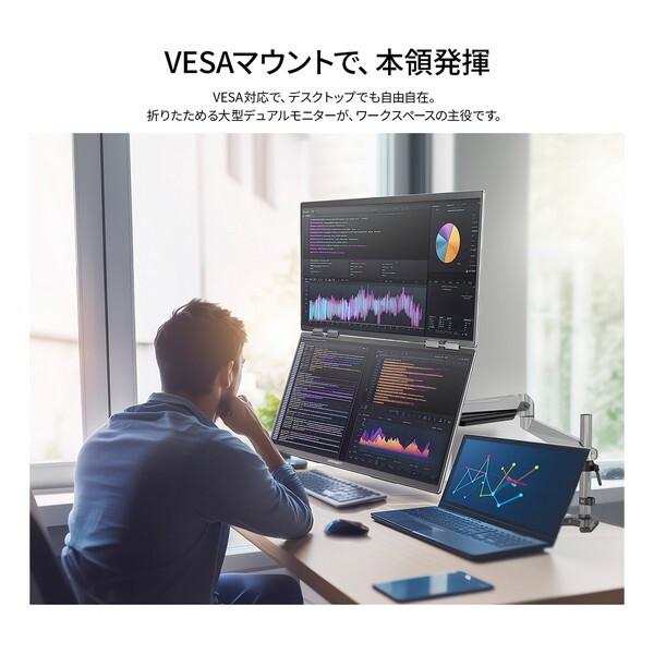 JAPANNEXT（ジャパンネクスト） JAPANNEXT JN-DMD-IPS238F-C4 23.8型