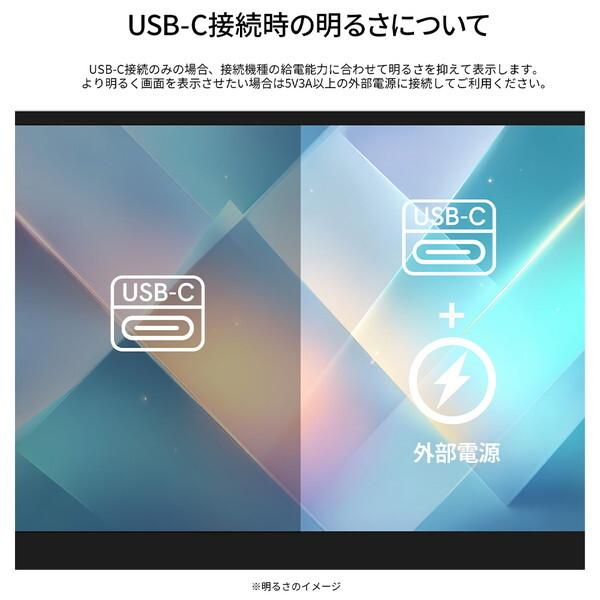 JAPANNEXT（ジャパンネクスト） JAPANNEXT JN-MD-IPST156FHD 15.4型