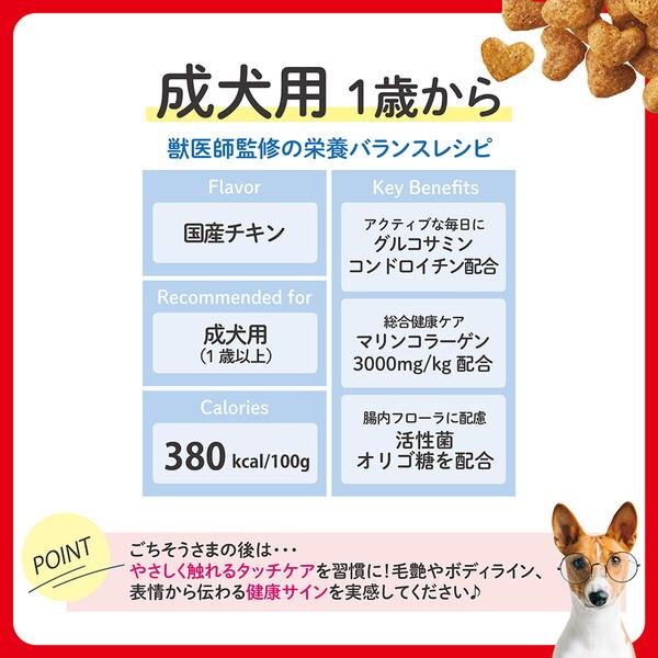 日本ペットフード ビューティープロ ドッグ 成犬用 1歳から 720g