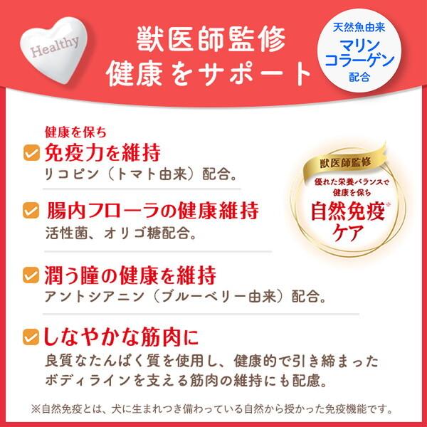 日本ペットフード ビューティープロ ドッグ 成犬用 1歳から 720g