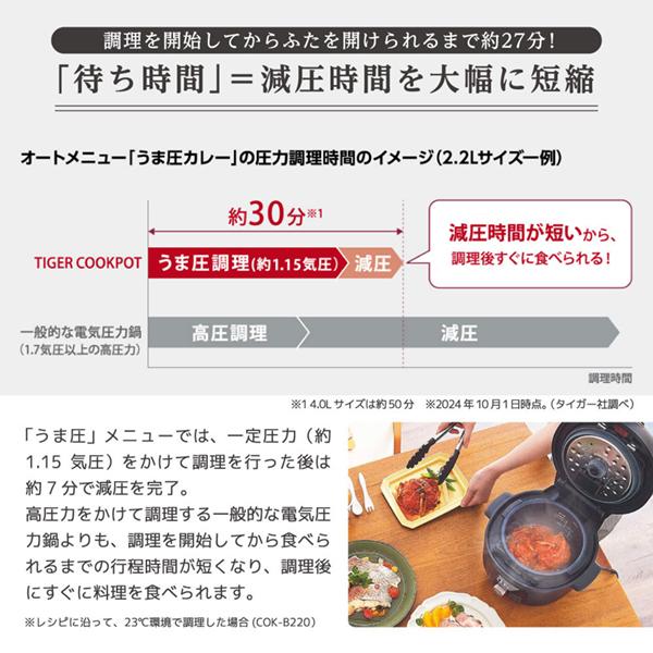 タイガー（TIGER） TIGER COK-B220KM マットブラック TIGER COOKPOT
