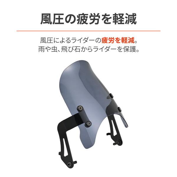 DAYTONA（デイトナ） D62724 CB1000F(26)専用 スクリーン エアロ