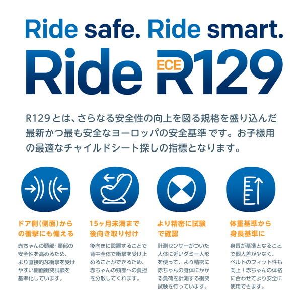 月 DAYTONA（デイトナ） バイク用 サイドバッグサポート エリミネーター