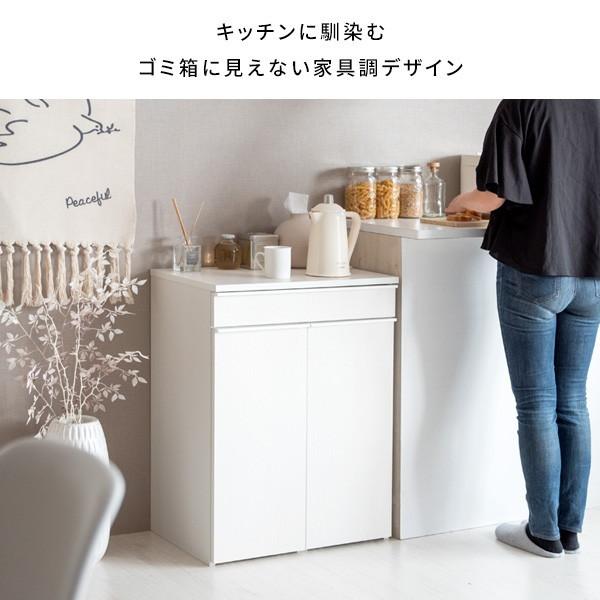 ドロワーダストボックス DB-F2200 ナチュラル 宮武製作所 メーカー直送 【器具】
