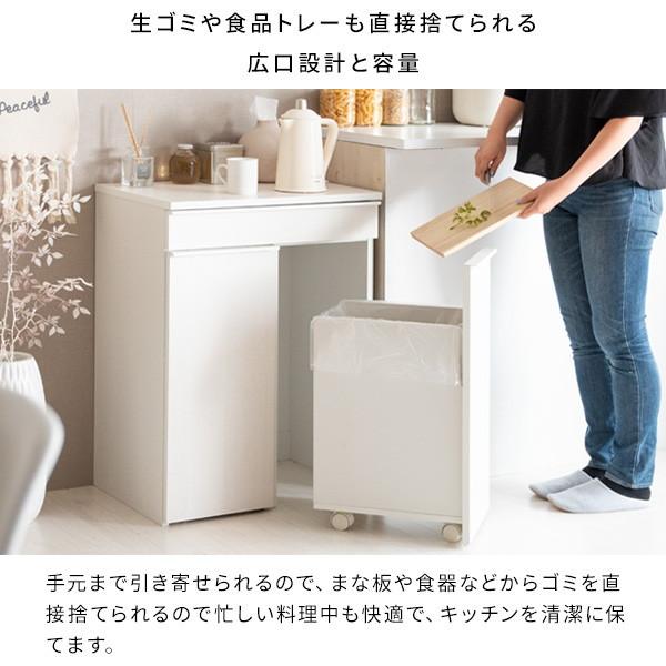 ドロワーダストボックス DB-F2200 ナチュラル 宮武製作所 メーカー直送 【器具】