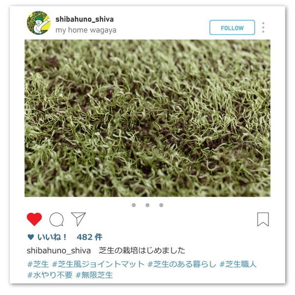 萩原 240634200 芝生風ジョイントマット シーヴァ 18枚セット メーカー直送