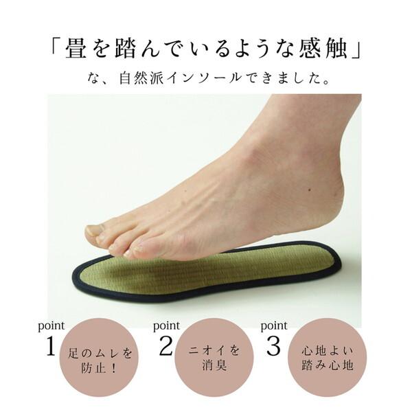 イケヒコ・コーポレーション 1120290190415 インソール 消臭 抗菌