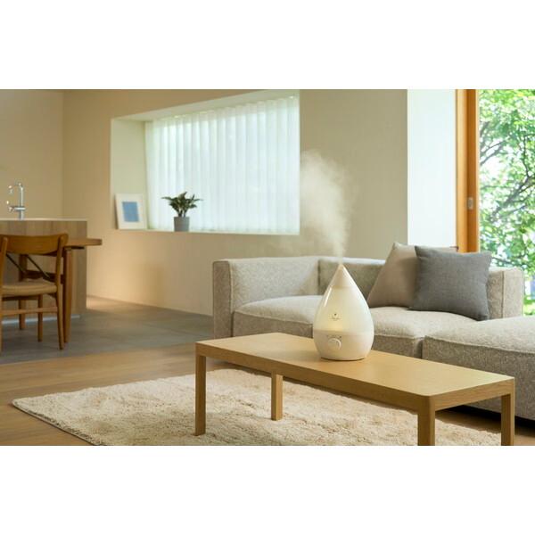 APIX INTERNATIONAL（アピックス インターナショナル） アピックス ASZ