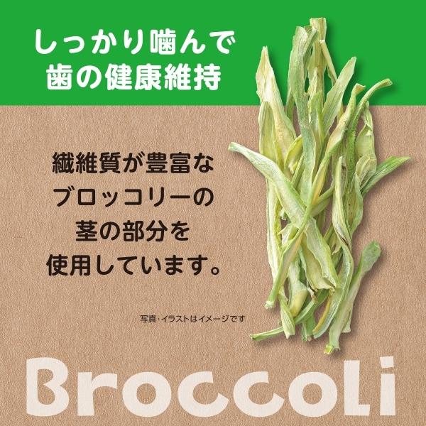 ブロッコリー品 GEX（ジェックス） ヘルシーレシピ ブロッコリーぽりぽり 15g : MAXZEN