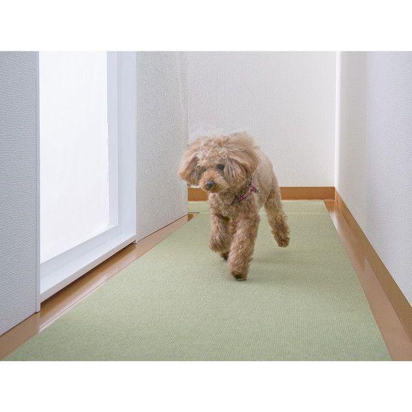 サンコー ズレない 洗える 撥水 ペット用床保護マット 60×240cm ロングマット 廊下マット ペット用 日本製 | THANKO | 01