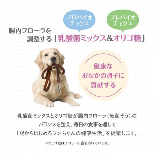 森乳サンワールド Supergold おなかラボ 成犬用 14.5kg_1
