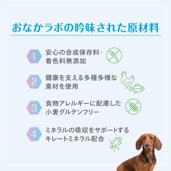 森乳サンワールド Supergold おなかラボ 成犬用 14.5kg_4