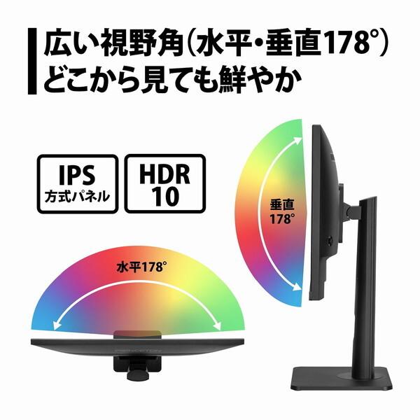 PRINCETON（プリンストン） princeton PTF-H241WS-BK ブラック 23.8型