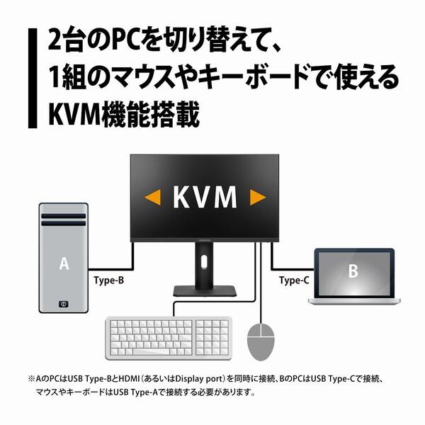 PRINCETON（プリンストン） princeton PTF-H241WS-BK ブラック 23.8型