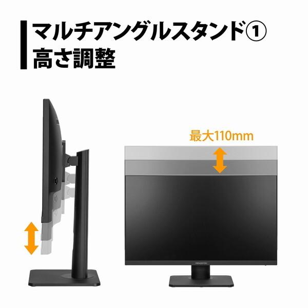 PRINCETON（プリンストン） princeton PTF-H241WS-BK ブラック 23.8型