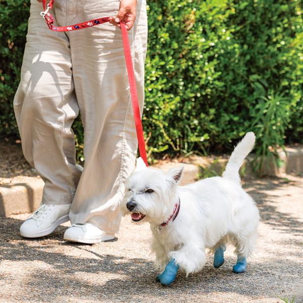 ピカコーポレイション 犬用オールシーズンブーツ パウテクト 通気孔