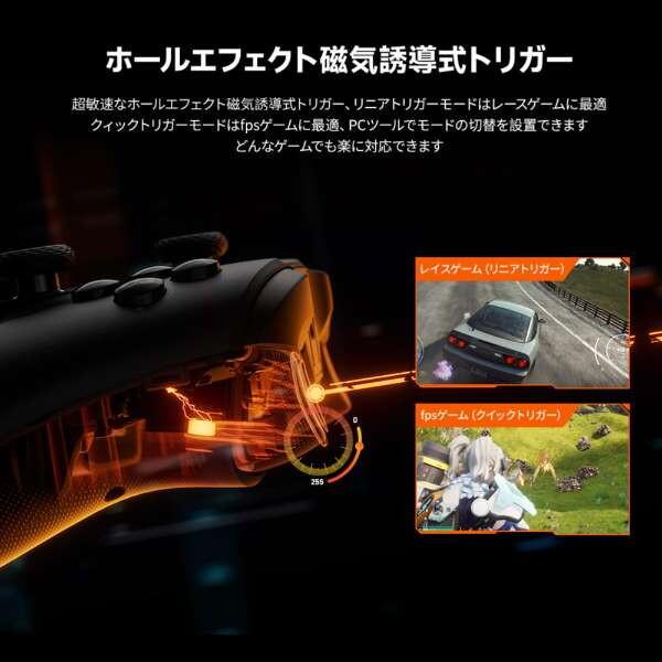 BIGBIG WON GALE Hall combo Gray ワイヤレス&有線ゲーミングコントローラー (Switch & Windows10/11&iOS Android対応 ジャイロ搭載) メーカー直送