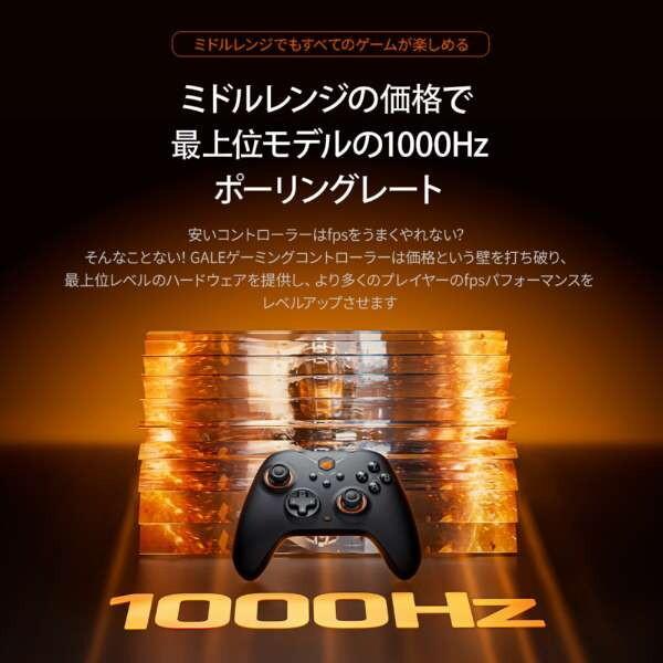 BIGBIG WON GALE Hall combo Gray ワイヤレス&有線ゲーミングコントローラー (Switch & Windows10/11&iOS Android対応 ジャイロ搭載) メーカー直送