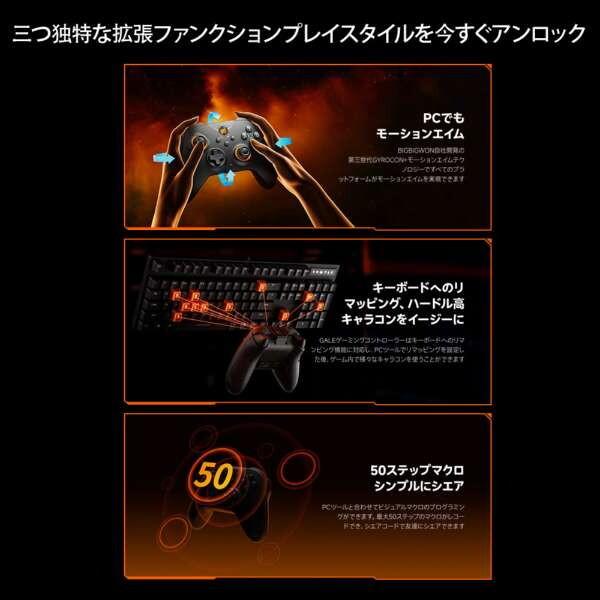BIGBIG WON GALE Hall combo Gray ワイヤレス&有線ゲーミングコントローラー (Switch & Windows10/11&iOS Android対応 ジャイロ搭載) メーカー直送