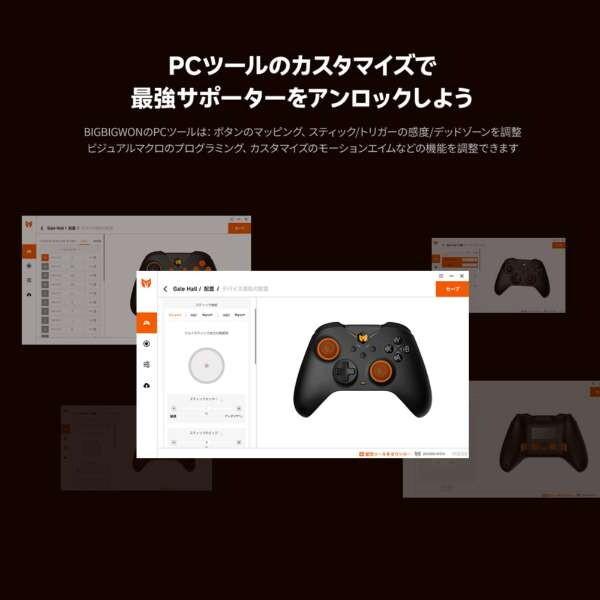 BIGBIG WON GALE Hall combo Gray ワイヤレス&有線ゲーミングコントローラー (Switch & Windows10/11&iOS Android対応 ジャイロ搭載) メーカー直送
