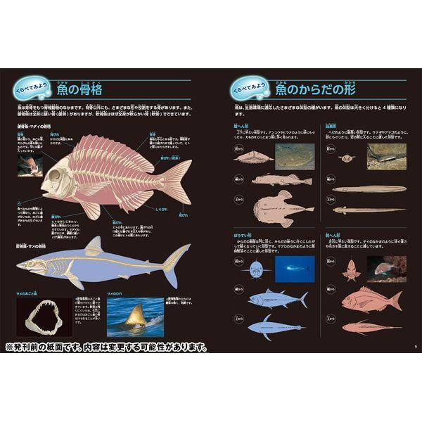 Gakken 魚 新版 : MAXZEN Direct Yahoo!店 - 通販 - Yahoo!ショッピング
