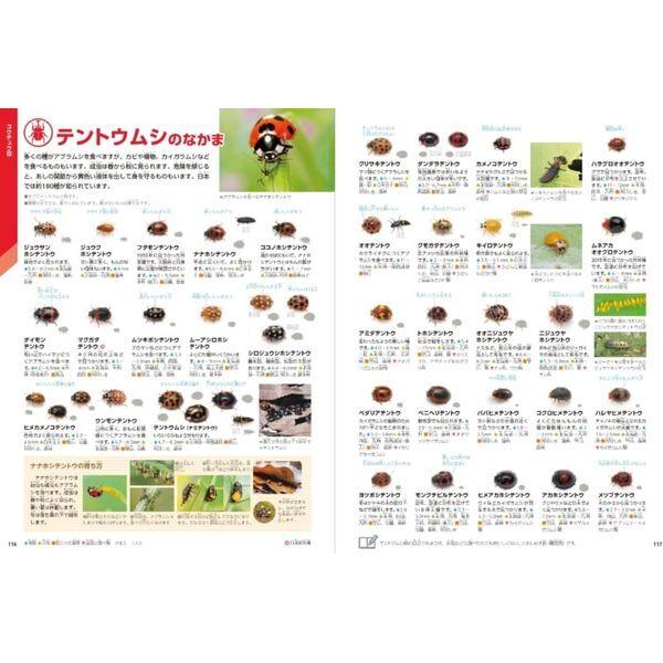 Gakken 学研の図鑑LIVE新版 特典付きギフトボックス3冊セット : MAXZEN