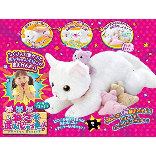 夢ペット 産んじゃったシリーズ ねこ産んじゃった! ねこ産んじゃった