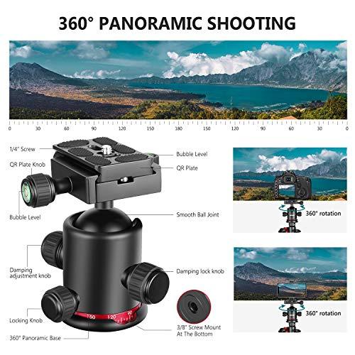 最高の品質のNEEWER 200cm カメラ三脚一脚 アルミ合金製 ArcaタイプQR