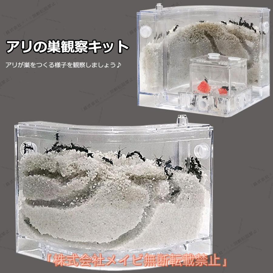 アリの巣　あり観察キット　飼育ケース　砂　自由研究 小学生 あり 蟻 飼育セット 実験セット 観察　夏休み　学習用 の商品画像